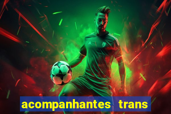 acompanhantes trans baixada fluminense